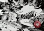 Image American women workers United States USA, 1919, de la seconde 5 séquences d'archives historiques vidéo 65675025424