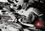 Image American women workers United States USA, 1919, de la seconde 12 séquences d'archives historiques vidéo 65675025424