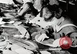 Image American women workers United States USA, 1919, de la seconde 16 séquences d'archives historiques vidéo 65675025424