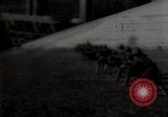 Image of US army troops training in World War I United States USA, 1917, second 1 stock footage video 65675025435