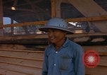 Image of 819th CES construction area Phu Cat Vietnam, 1966, second 62 stock footage video 65675025460