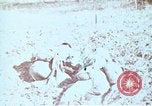 Immagine di Protezione contro la Nuclear Blast United States USA, 1968, secondo 22 filmato di repertorio 65675025473