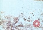 Immagine di Protezione contro la Nuclear Blast United States USA, 1968, secondo 31 filmato di repertorio 65675025473