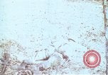 Immagine di Protezione contro la Nuclear Blast United States USA, 1968, secondo 39 filmato di repertorio 65675025473