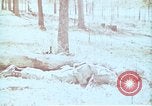Immagine di Protezione contro la Nuclear Blast United States USA, 1968, secondo 43 filmato di repertorio 65675025473