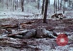 Immagine di Protezione contro la ricaduta nucleare United States USA, 1968, secondo 24 filmato di repertorio 65675025474