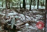 Immagine di Protezione contro la ricaduta nucleare United States USA, 1968, secondo 50 filmato di repertorio 65675025474