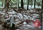 Immagine di Protezione contro la ricaduta nucleare United States USA, 1968, secondo 53 filmato di repertorio 65675025474