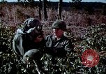 Standbild Schutz gegen Nerv agent Spray attack United States USA, 1968, aus Sekunde 36 historischem Filmmaterial Videoclip 65675025477