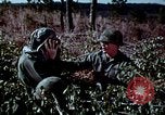 Standbild Schutz gegen Nerv agent Spray attack United States USA, 1968, aus Sekunde 37 historischem Filmmaterial Videoclip 65675025477