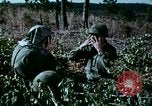 Standbild Schutz gegen Nerv agent Spray attack United States USA, 1968, aus Sekunde 38 historischem Filmmaterial Videoclip 65675025477