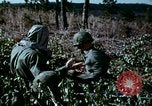 Standbild Schutz gegen Nerv agent Spray attack United States USA, 1968, aus Sekunde 39 historischem Filmmaterial Videoclip 65675025477