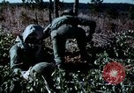 Standbild Schutz gegen Nerv agent Spray attack United States USA, 1968, aus Sekunde 40 historischem Filmmaterial Videoclip 65675025477