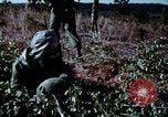 Standbild Schutz gegen Nerv agent Spray attack United States USA, 1968, aus Sekunde 41 historischem Filmmaterial Videoclip 65675025477