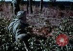 Standbild Schutz gegen Nerv agent Spray attack United States USA, 1968, aus Sekunde 42 historischem Filmmaterial Videoclip 65675025477