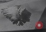 Standbild Lafayette Escadrille wird Teil der 103 Aero Squadron Coucy Frankreich, 1918, aus Sekunde 13 historischem Filmmaterial Videoclip 65675025509
