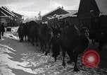 Image of Russian Army moving supplies by camel Russia, 1916, second 8 stock footage video 65675025520