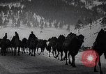 Image of Russian Army moving supplies by camel Russia, 1916, second 27 stock footage video 65675025520