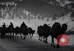 Image of Russian Army moving supplies by camel Russia, 1916, second 28 stock footage video 65675025520