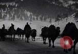 Image of Russian Army moving supplies by camel Russia, 1916, second 29 stock footage video 65675025520