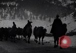 Image of Russian Army moving supplies by camel Russia, 1916, second 37 stock footage video 65675025520