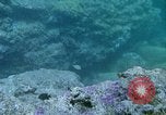 Image of early history Okinawa Ryukyu Islands, 1972, second 10 stock footage video 65675025521