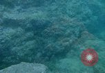 Image of early history Okinawa Ryukyu Islands, 1972, second 12 stock footage video 65675025521