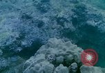 Image of early history Okinawa Ryukyu Islands, 1972, second 15 stock footage video 65675025521