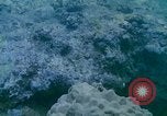 Image of early history Okinawa Ryukyu Islands, 1972, second 16 stock footage video 65675025521