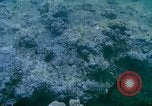 Image of early history Okinawa Ryukyu Islands, 1972, second 17 stock footage video 65675025521