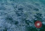 Image of early history Okinawa Ryukyu Islands, 1972, second 18 stock footage video 65675025521