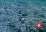 Image of early history Okinawa Ryukyu Islands, 1972, second 19 stock footage video 65675025521
