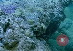 Image of early history Okinawa Ryukyu Islands, 1972, second 21 stock footage video 65675025521