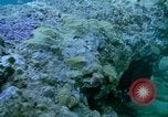 Image of early history Okinawa Ryukyu Islands, 1972, second 22 stock footage video 65675025521