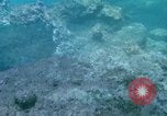 Image of early history Okinawa Ryukyu Islands, 1972, second 27 stock footage video 65675025521