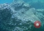 Image of early history Okinawa Ryukyu Islands, 1972, second 28 stock footage video 65675025521