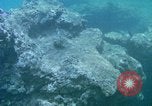 Image of early history Okinawa Ryukyu Islands, 1972, second 29 stock footage video 65675025521