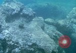 Image of early history Okinawa Ryukyu Islands, 1972, second 30 stock footage video 65675025521