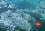 Image of early history Okinawa Ryukyu Islands, 1972, second 31 stock footage video 65675025521