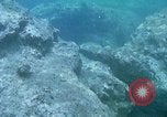 Image of early history Okinawa Ryukyu Islands, 1972, second 32 stock footage video 65675025521