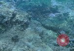 Image of early history Okinawa Ryukyu Islands, 1972, second 33 stock footage video 65675025521