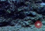Image of early history Okinawa Ryukyu Islands, 1972, second 34 stock footage video 65675025521