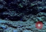 Image of early history Okinawa Ryukyu Islands, 1972, second 35 stock footage video 65675025521
