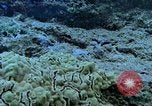Image of early history Okinawa Ryukyu Islands, 1972, second 37 stock footage video 65675025521