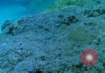 Image of early history Okinawa Ryukyu Islands, 1972, second 43 stock footage video 65675025521