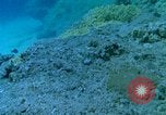 Image of early history Okinawa Ryukyu Islands, 1972, second 44 stock footage video 65675025521