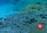 Image of early history Okinawa Ryukyu Islands, 1972, second 45 stock footage video 65675025521