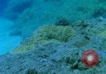 Image of early history Okinawa Ryukyu Islands, 1972, second 47 stock footage video 65675025521