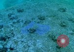 Image of early history Okinawa Ryukyu Islands, 1972, second 50 stock footage video 65675025521