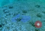 Image of early history Okinawa Ryukyu Islands, 1972, second 51 stock footage video 65675025521
